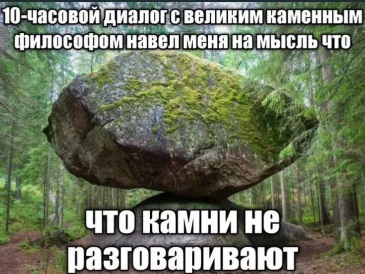 10-часовой диалог с великим каменным философом Мем про 10-часовой диалог с великим каменным философом и его мысли о том, что камни не разговаривают
