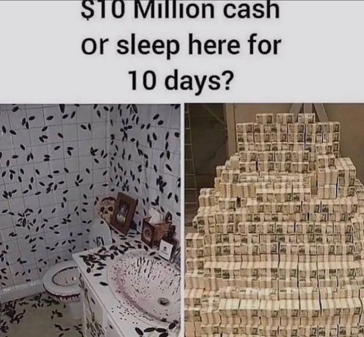 $10 Million cash or sleep here for 10 days? Выбор между $10 миллионами наличными или сном в жуткой ванной комнате на 10 дней