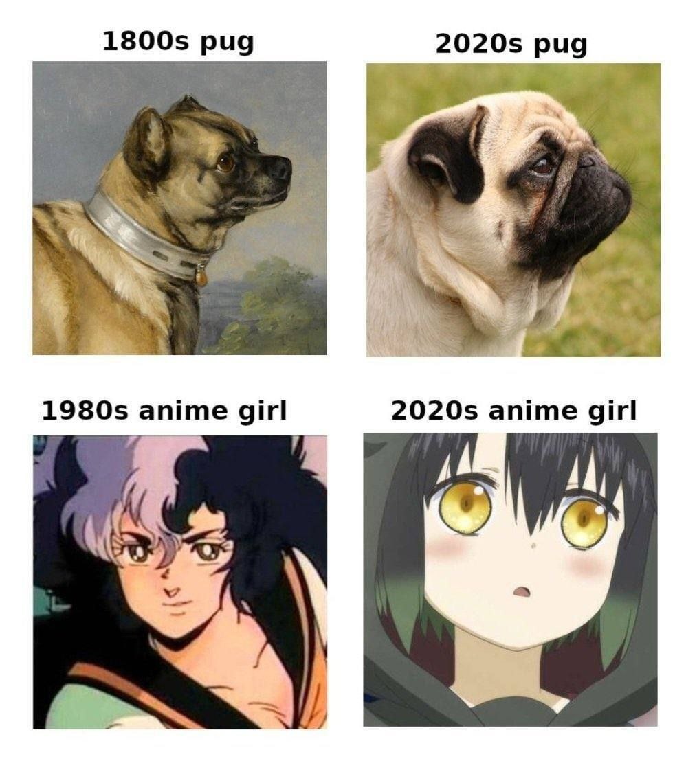 Сравнение мопсов 1800-х и 2020-х годов, а также аниме-девушек 1980-х и 2020-х годов