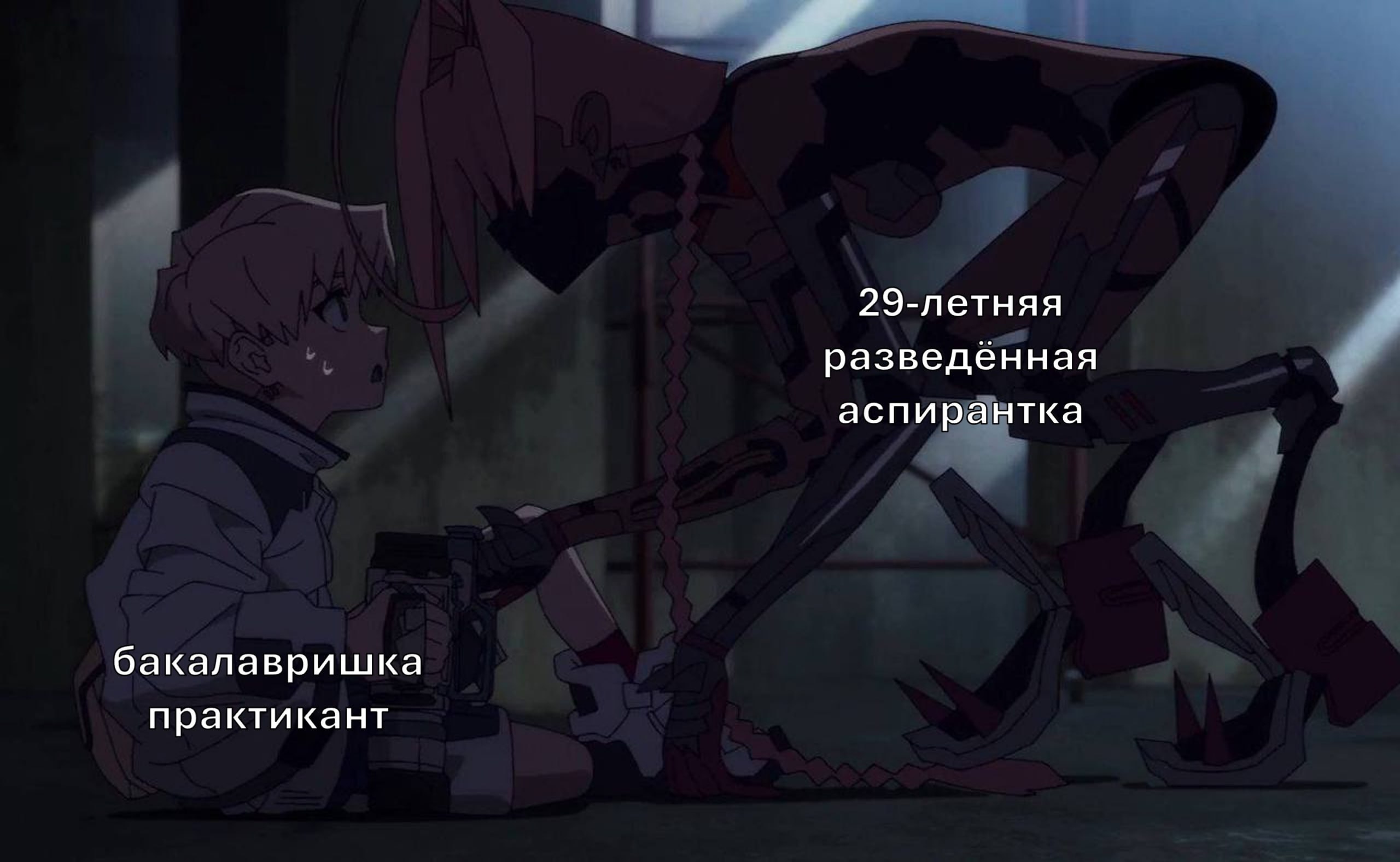 Мем с контрастом между 29-летней разведённой аспиранткой и бакалавром-практикантом из аниме.