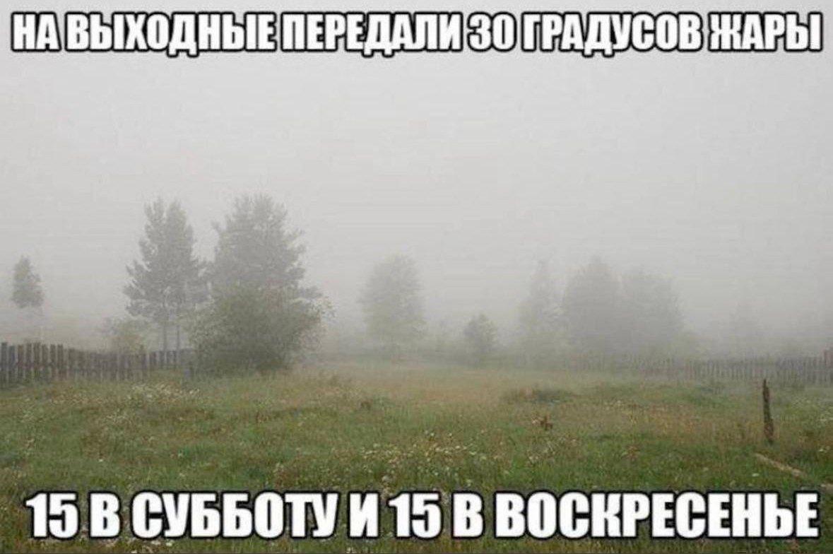 На выходные передали 30 градусов жары Мем про 30 градусов жары и 15 градусов в субботу и воскресенье