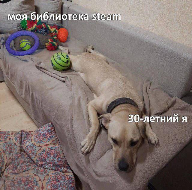 30-летний я и моя библиотека Steam Уставший пес на диване рядом с игрушками, подписанный как «30-летний я» и «моя библиотека Steam».
