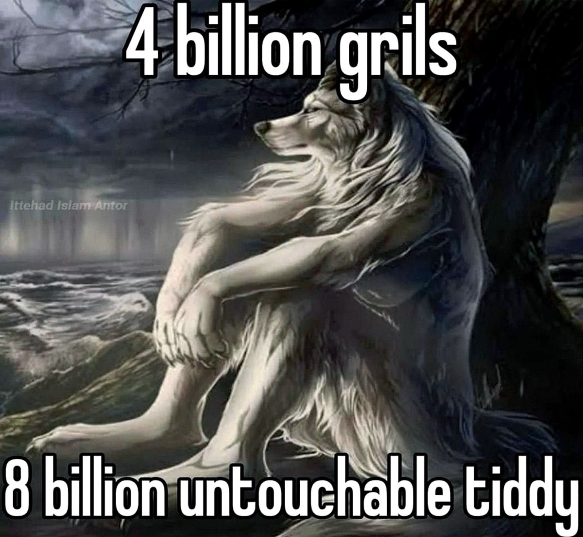 4 billion grils 8 billion untouchable tiddy Мем с грустным волком-оборотнем и надписью «4 billion grils 8 billion untouchable tiddy».