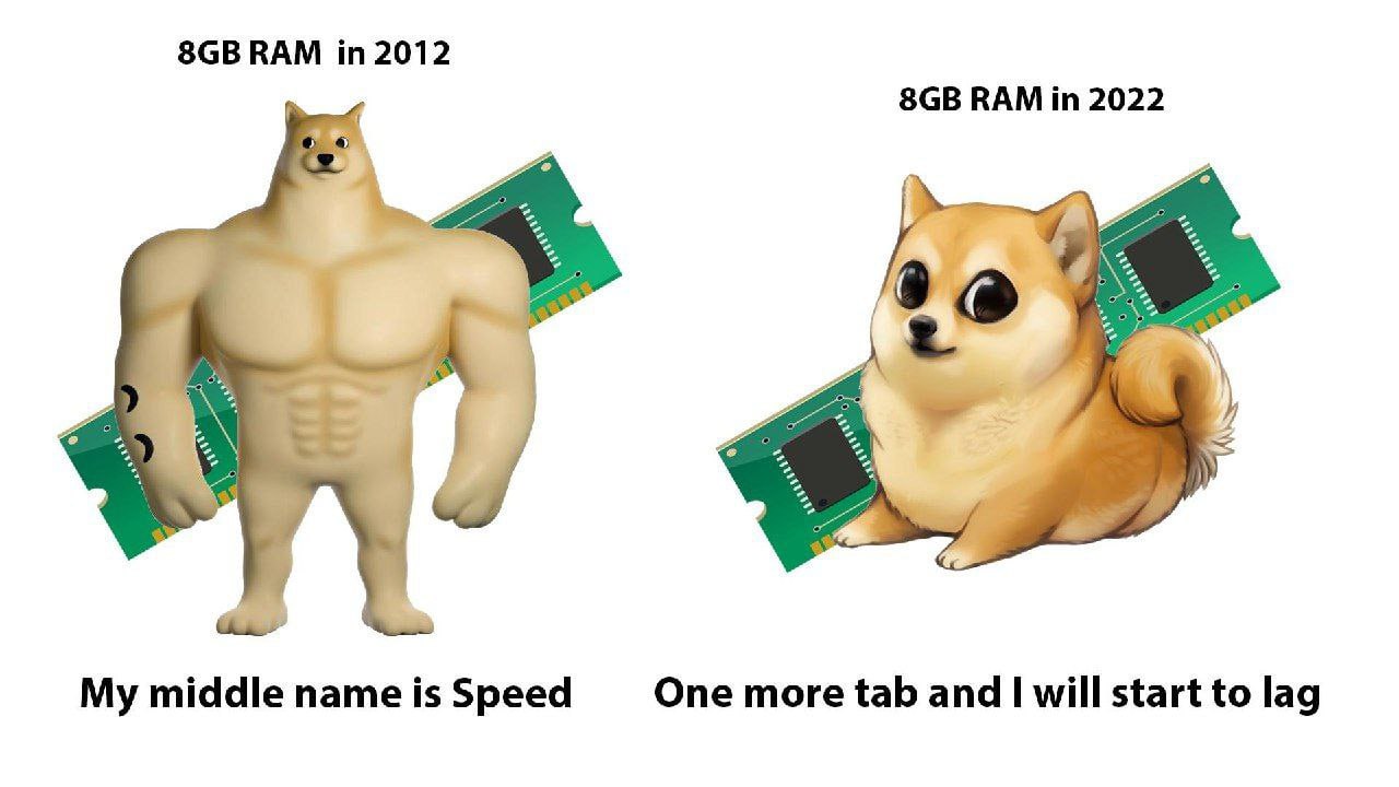 8GB RAM в 2012 и 2022 8 ГБ оперативной памяти в 2012 году и 8 ГБ оперативной памяти в 2022 году. На первом изображении изображен накачанный пес Чеемс, олицетворяющий мощь, а на втором - милый щенок, олицетворяющий слабость. На изображении также присутствуют модули оперативной памяти.