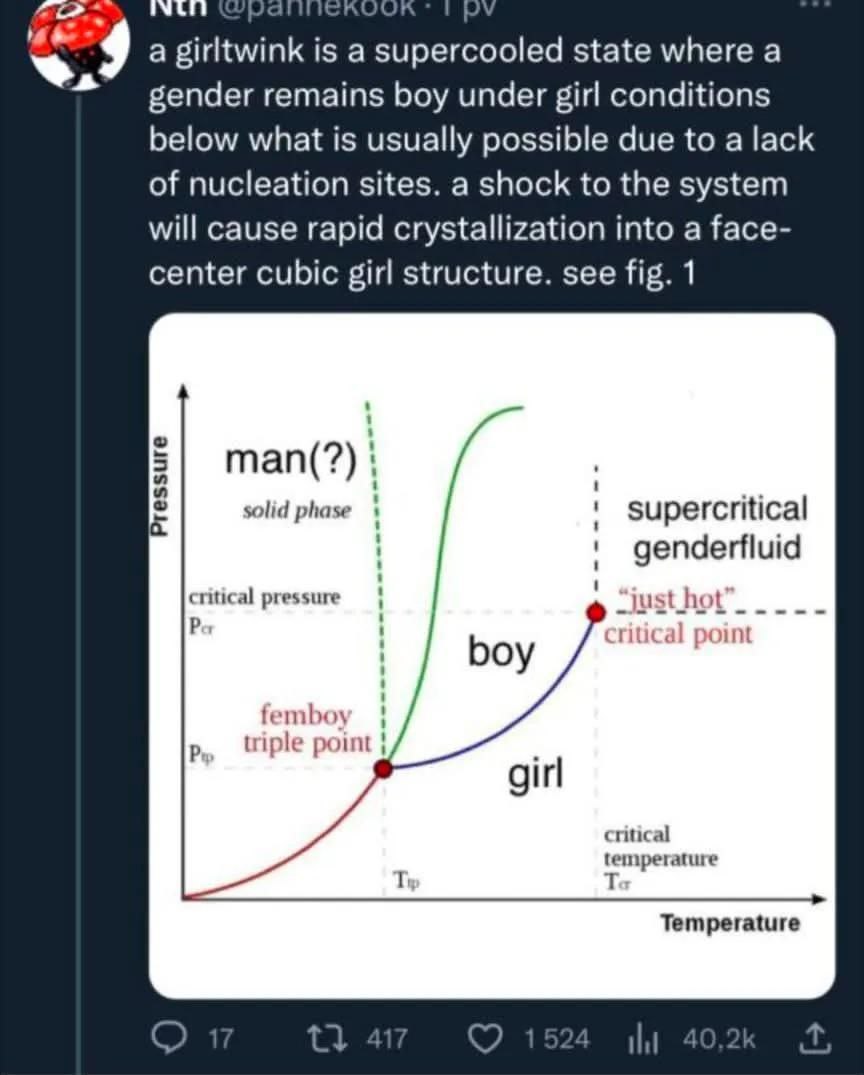 Мем с научным объяснением терминов «girltwink» и «femboy» в виде фазовой диаграммы