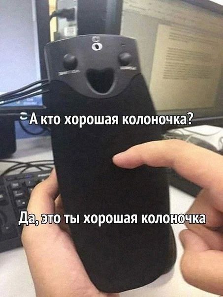 А кто хорошая колоночка Человек гладит колонку с улыбающимся лицом и говорит, что она хорошая