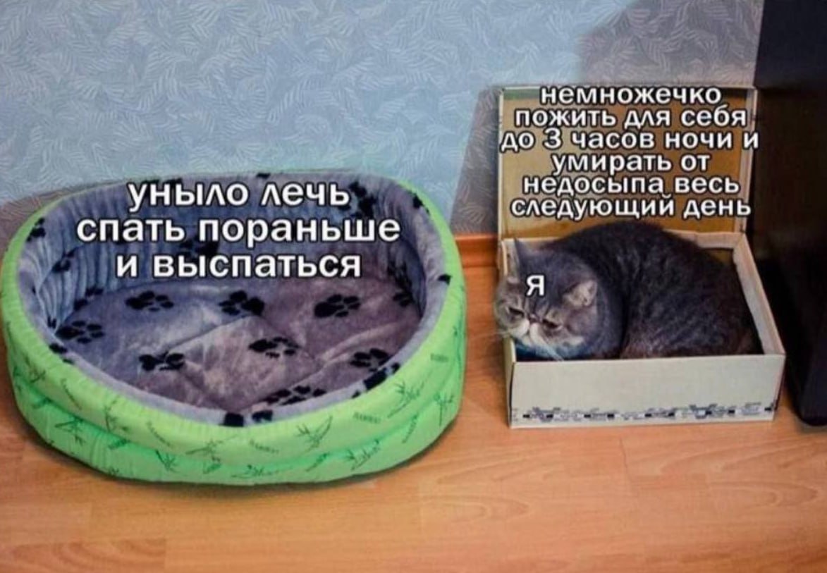 Немножечко пожить для себя до 3 часов ночи Немножечко пожить для себя до 3 часов ночи и умирать от недосыпа весь следующий день