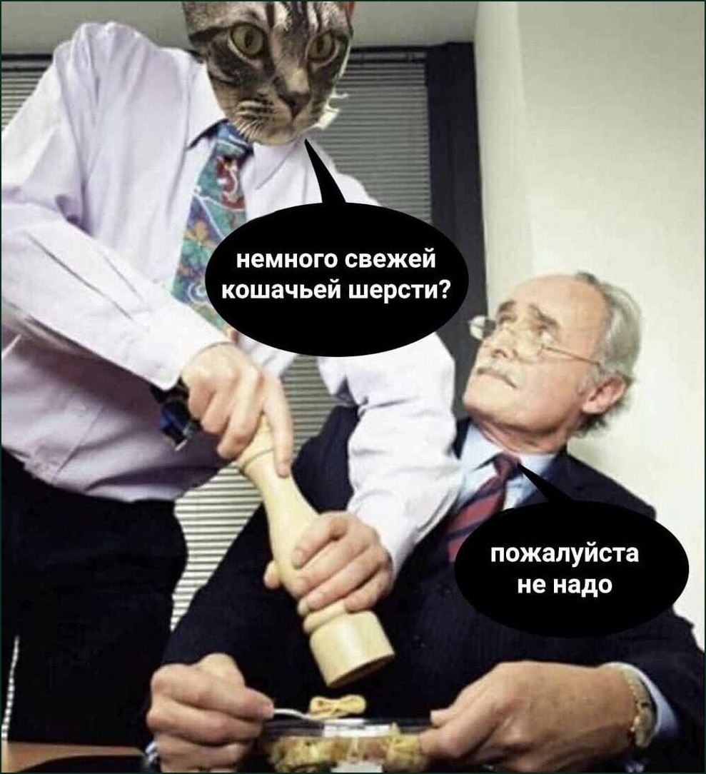 Кот в образе врача пытается добавить свежую кошачью шерсть в тарелку, но мужчина отчаянно просит его этого не делать.