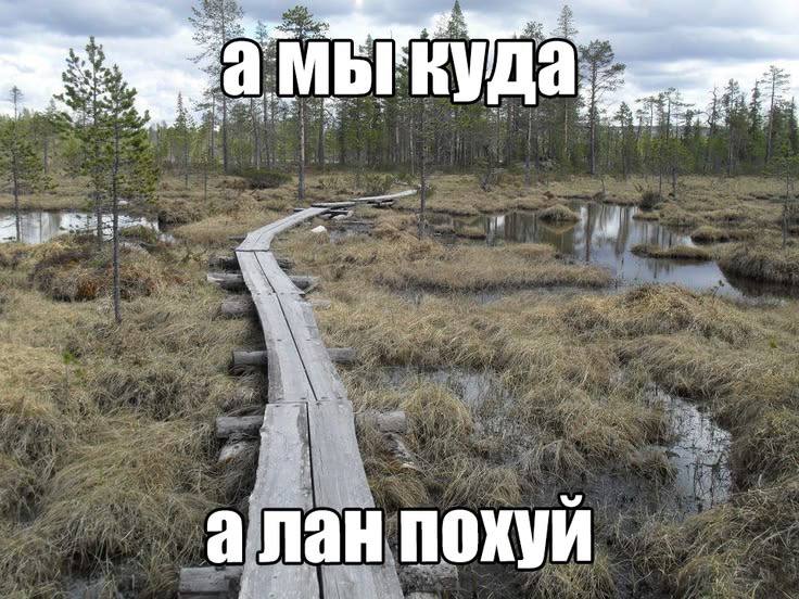 Деревянная тропинка через болото с надписью «а мы куда» и ответом «а лан похуй»