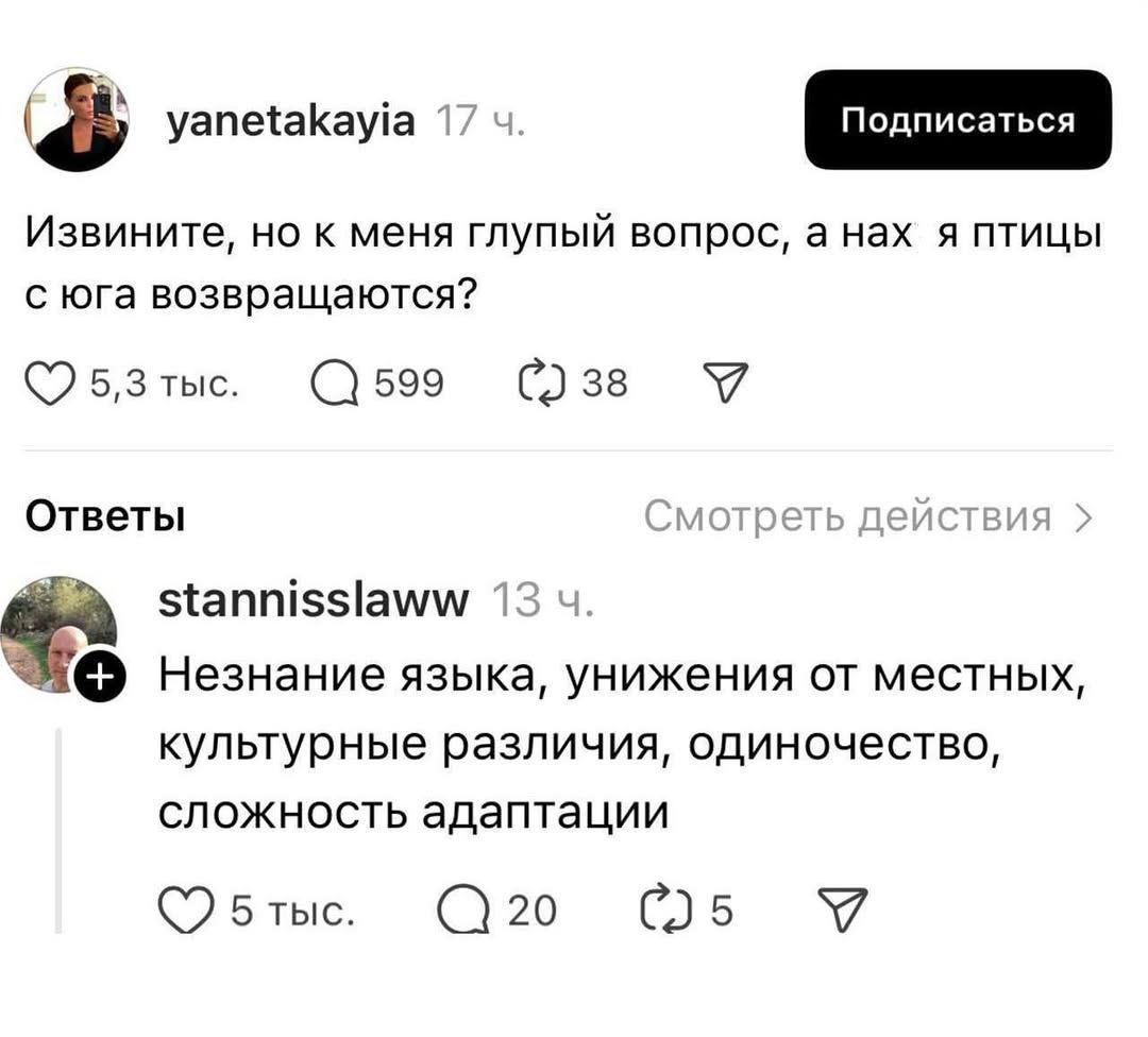 А нах я птицы с юга возвращаются Скриншот переписки, где пользователь спрашивает, зачем птицы возвращаются с юга, несмотря на все трудности