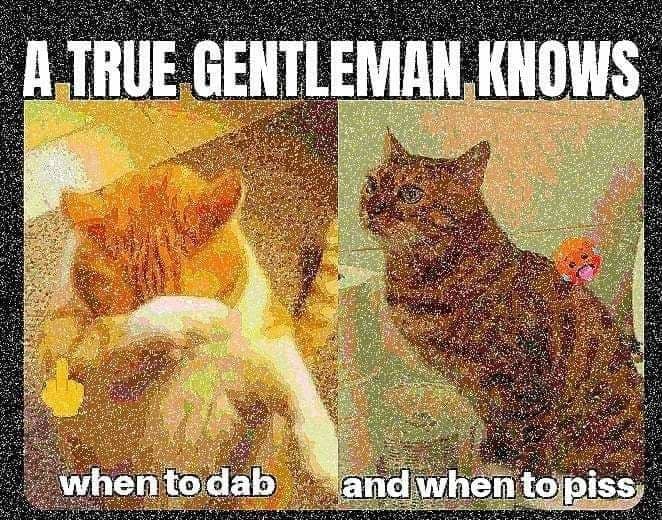 A true gentleman knows Мем с двумя котами и надписью "A true gentleman knows when to dab and when to piss"