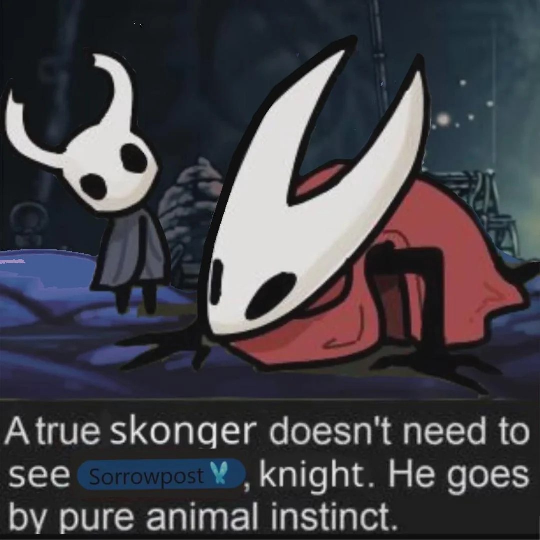 Мем про Hollow Knight с Хорнет и Призраком: "Настоящему сконгеру не нужно видеть Sorrowpost, рыцарь. Он руководствуется чистым животным инстинктом."