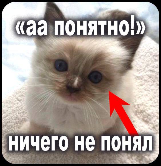 Аа понятно! Ничего не понял Котенок "Аа понятно! Ничего не понял"