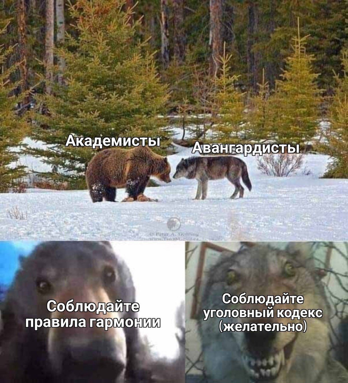 Академисты и авангардисты медведь и волк Медведь академист и волк авангардист, соблюдающий уголовный кодекс.