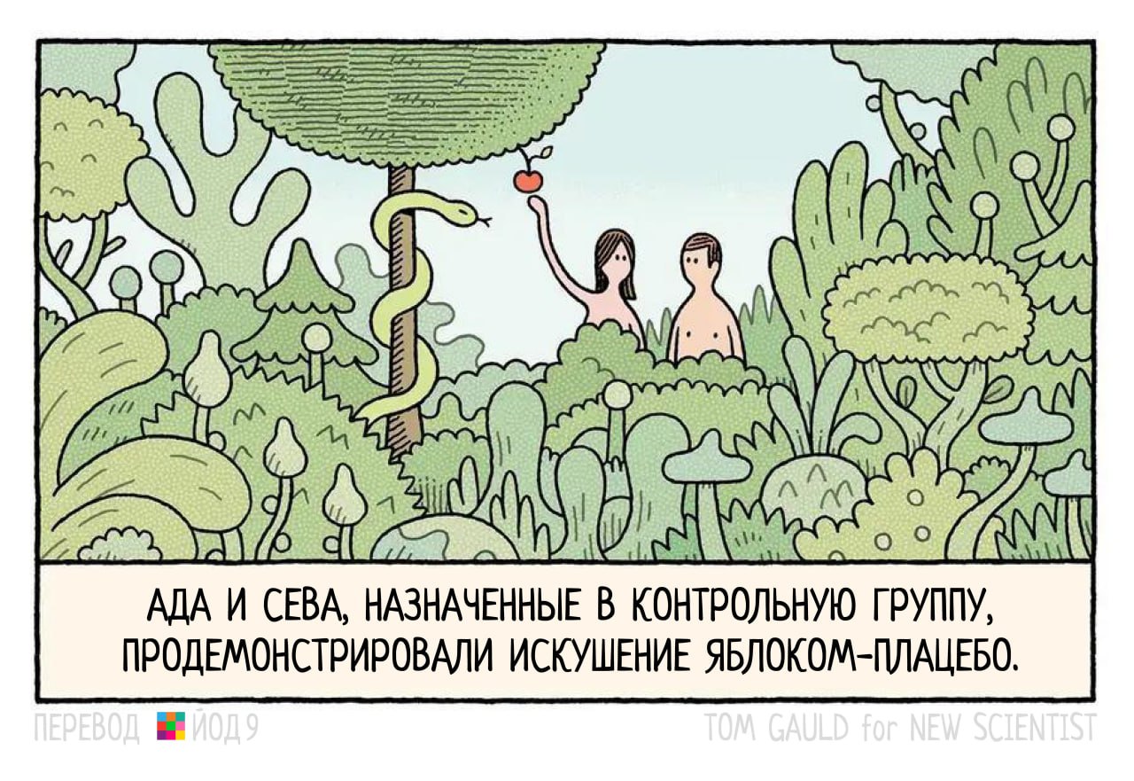 Ада и Сева и яблоко-плацебо Ада и Сева, назначенные в контрольную группу, продемонстрировали искушение яблоком-плацебо
