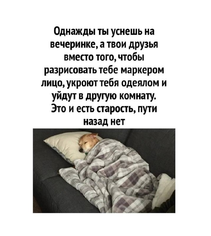 Однажды ты уснешь на вечеринке, а твои друзья укроют тебя одеялом Собака спит под одеялом на диване, олицетворяя старость на вечеринке.
