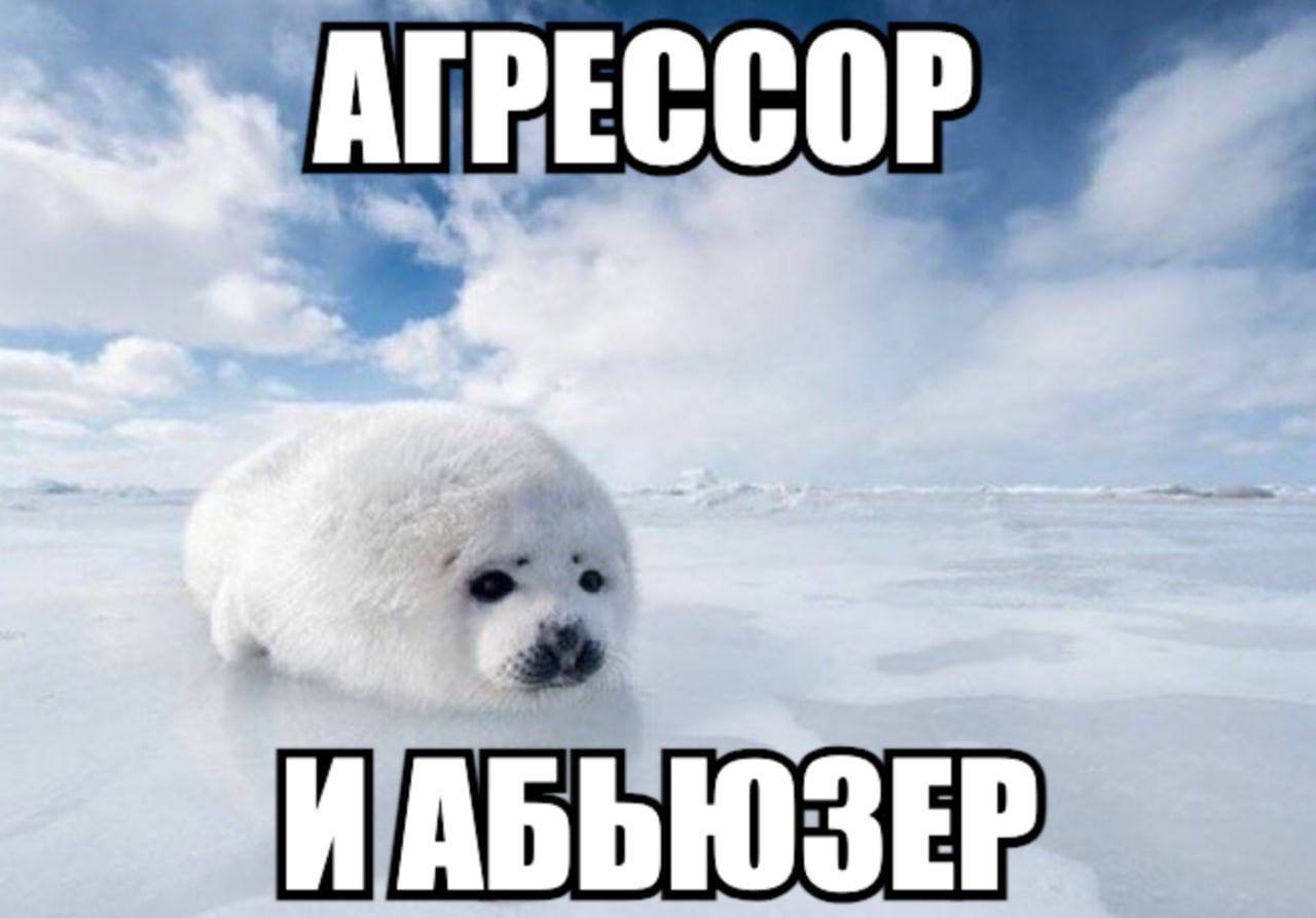 Тюлень агрессор и абьюзер Белый тюлень на льдине с надписью "Агрессор и абьюзер"