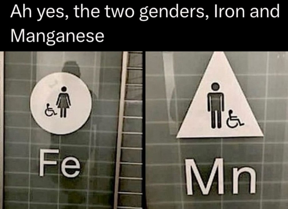Ah yes, the two genders, Iron and Manganese Ах да, два гендера: Железо и Марганец
