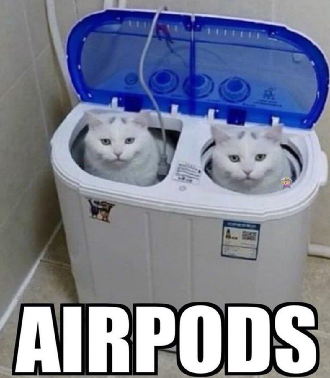 Кошки Airpods в стиральной машине Две белые кошки сидят в стиральной машине, а под ними надпись Airpods