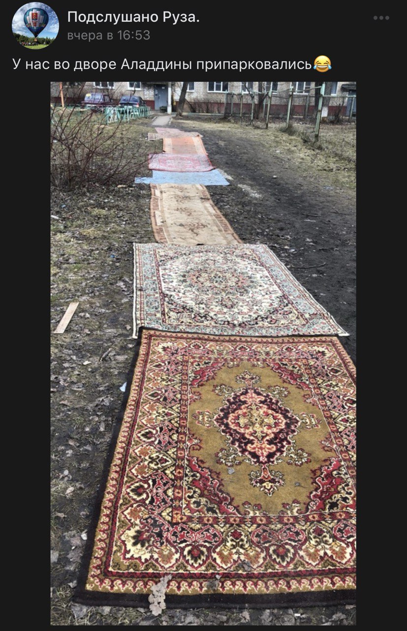 У нас во дворе Аладдины припарковались Фотография, на которой изображены несколько ковров, разложенных по грязной земле во дворе, словно дорожка. Ковры разных размеров и расцветок, лежат в ряд, ведя к многоквартирному дому. В верхней части изображения виден многоэтажный жилой дом и припаркованные автомобили, а также голые кусты.