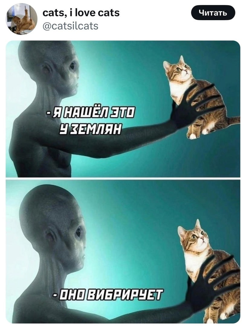Инопланетянин держит кошку Инопланетянин держит в руках кошку, которую он нашел у землян, и она вибрирует.