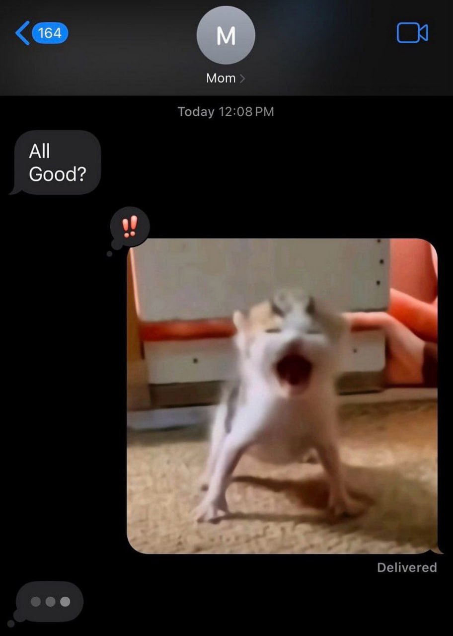 All Good орущий котенок Мем с сообщением от мамы "All Good?" и кричащим котенком