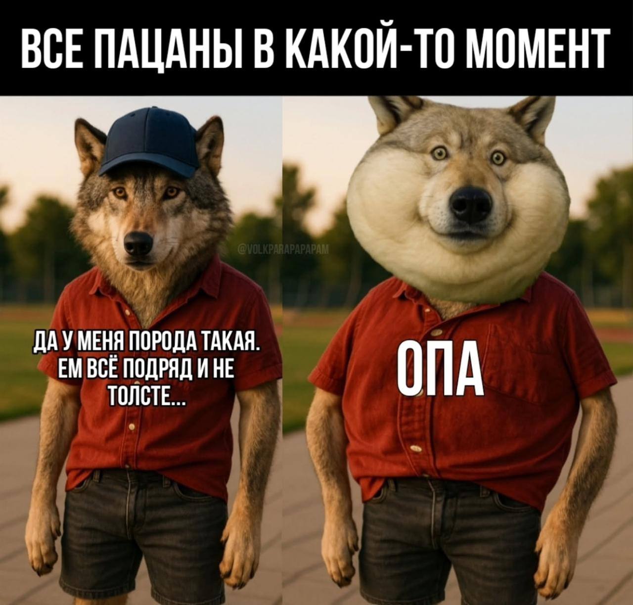 Все пацаны в какой-то момент Волк "Да у меня порода такая" / "Опа"