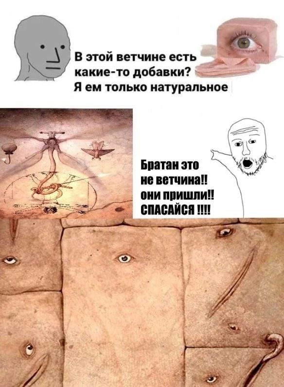 All tomorrows В этой ветчине есть какие-то добавки Мем All tomorrows В этой ветчине есть какие-то добавки я ем только натуральное