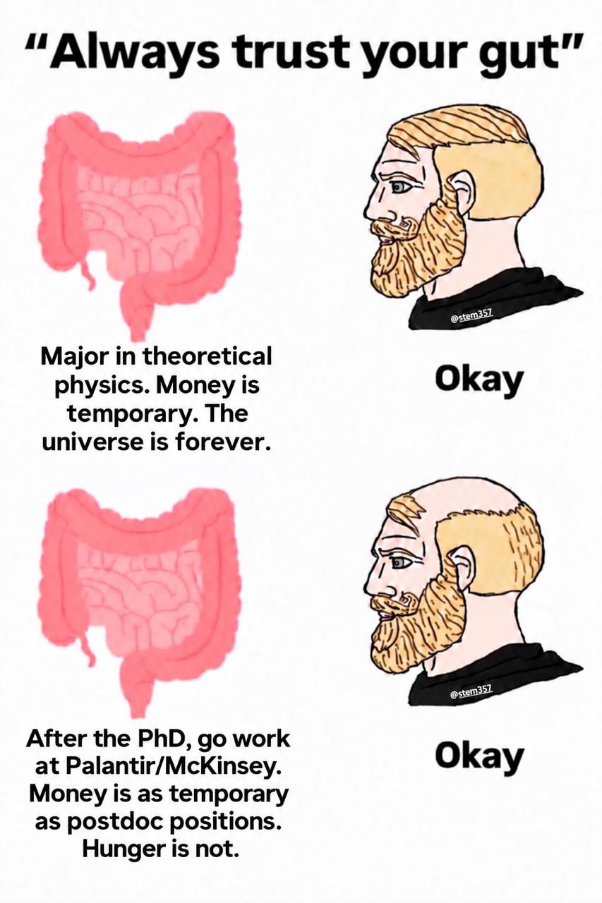 Ироничный мем о выборе теоретической физики, работе после PhD и суровой реальности постдокторантских позиций.
