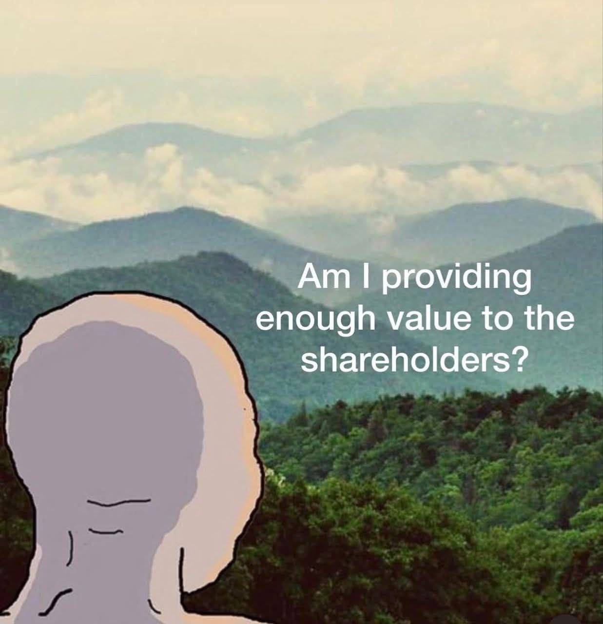 Am i providing enough value to the shareholders? Мем с вояком, который смотрит на горы и спрашивает: «Am i providing enough value to the shareholders?»