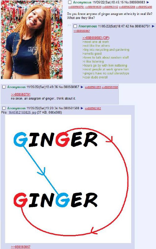 Анограмма слова ginger Мем с картинкой, где показана анаграмма слова ginger, меняя местами буквы g и n, а также r и e.