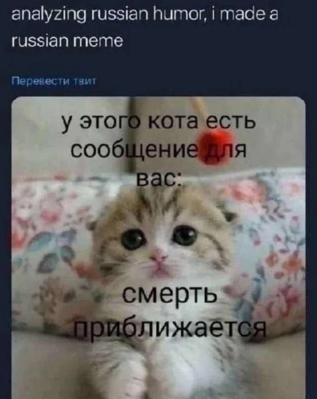 Analyzing russian humor, i made a russian meme Мем с милым котенком и текстом "смерть приближается"