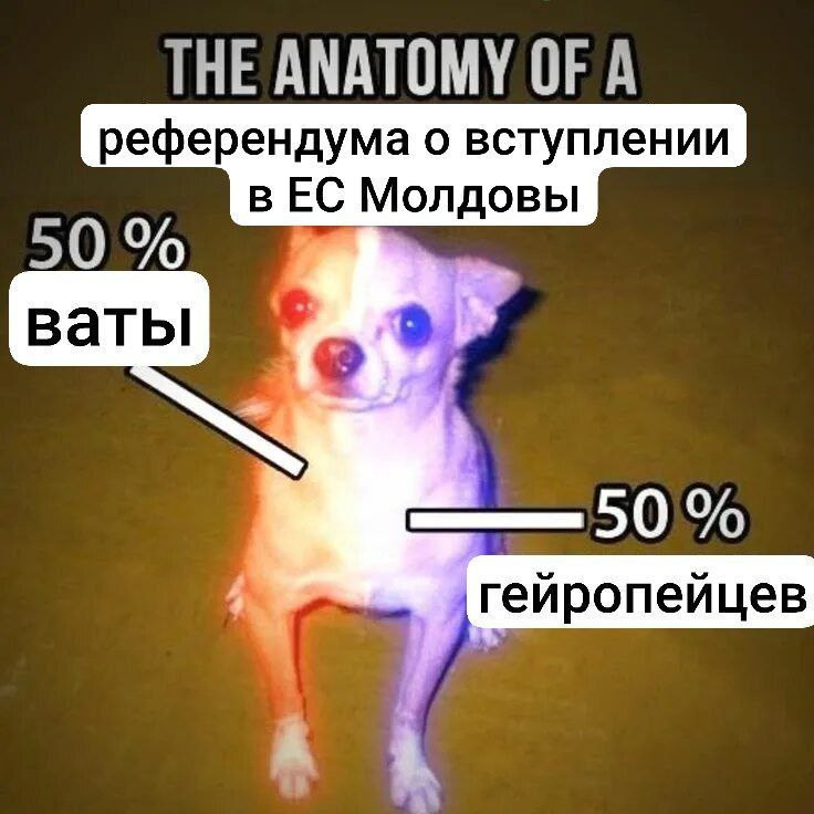 The anatomy of a референдума о вступлении в ЕС Молдовы Анатомия референдума о вступлении Молдовы в ЕС