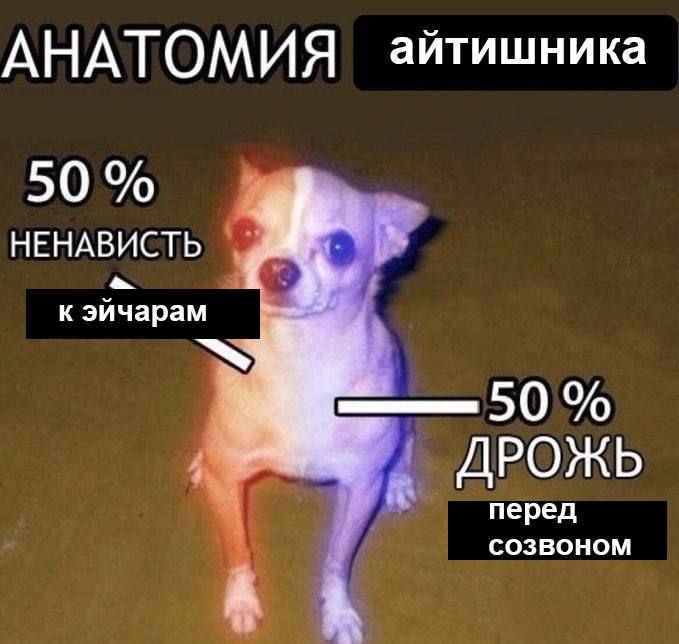 Анатомия айтишника Анатомия айтишника: 50% ненависти к эйчарам, 50% дрожи перед созвоном
