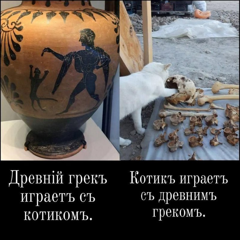 Древний грек и котик Мем, где древний грек на вазе играет с котиком, а рядом белый кот играет с черепом древнего грека