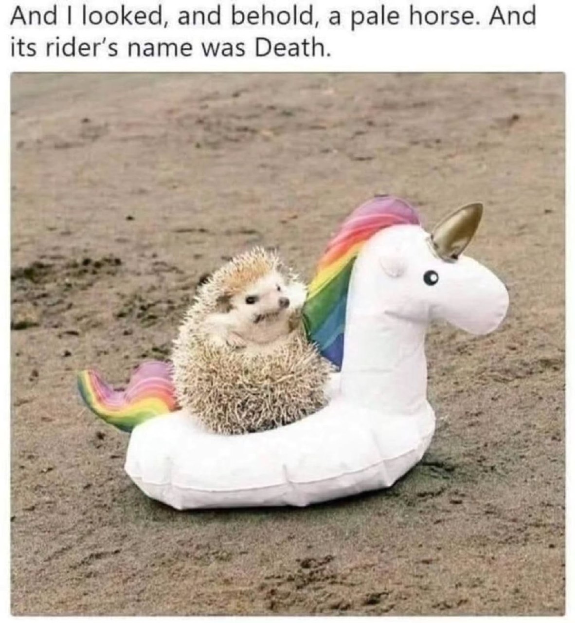 Ёжик верхом на надувном единороге под цитатой «And I looked, and behold, a pale horse. And its rider’s name was Death.»