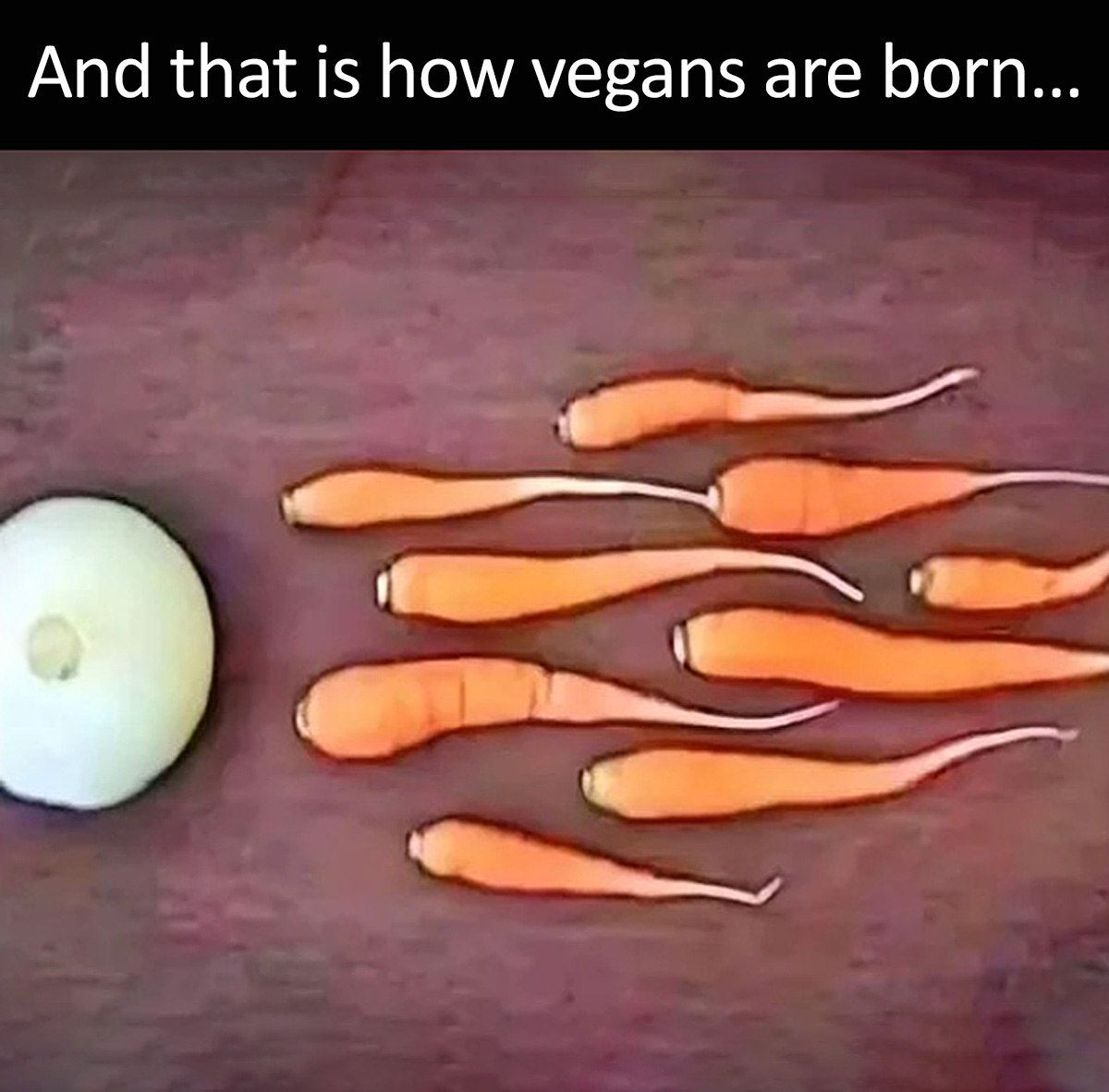 And that is how vegans are born Веганская яйцеклетка и сперматозоиды-морковки на красном фоне
