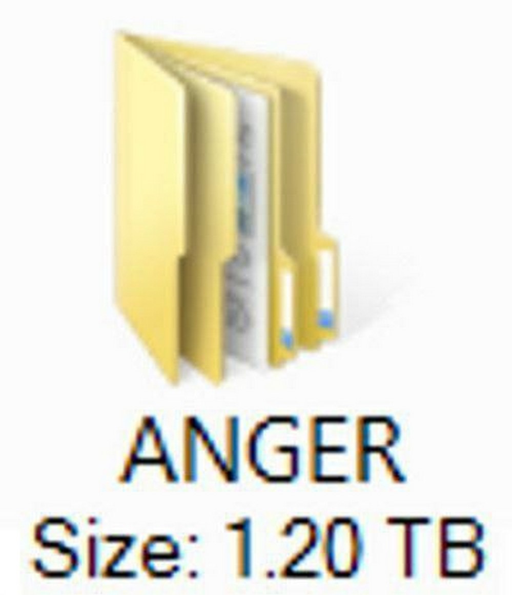 Папка Anger 1.20 TB Папка «Злость» размером 1.20 терабайт
