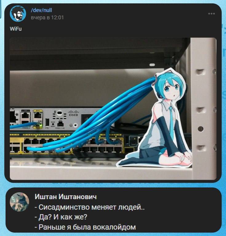 Аниме девушка с волосами из кабеля в серверной Мем, где длинные волосы аниме-девушки подключены к сетевому оборудованию.