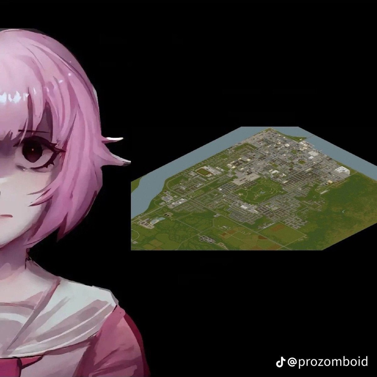 Аниме девушка и карта Project Zomboid Мем с аниме девушкой с розовыми волосами и картой игры Project Zomboid