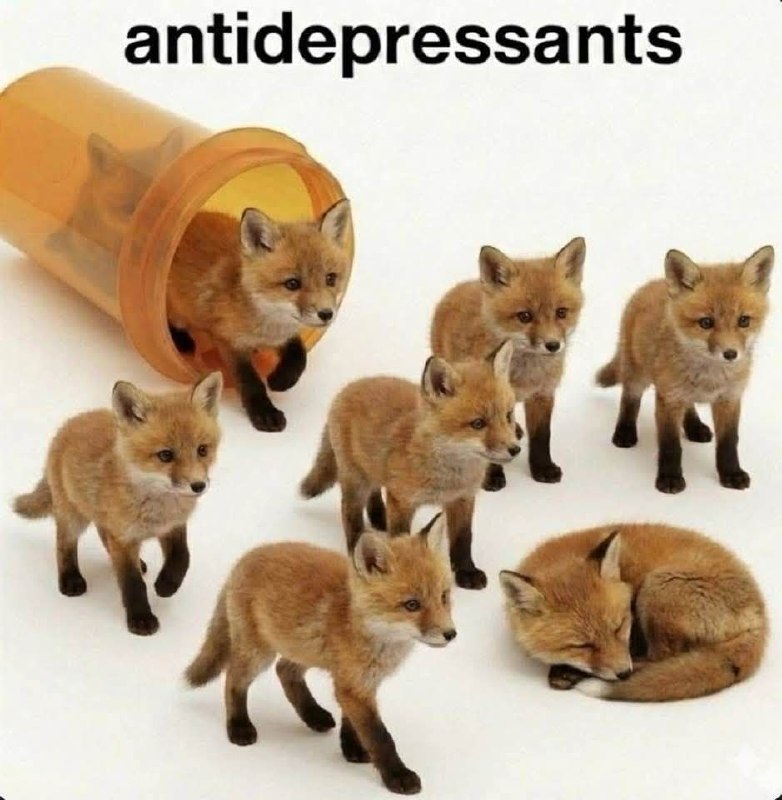 Маленькие лисята рядом с капсулой с надписью «antidepressants» на белом фоне