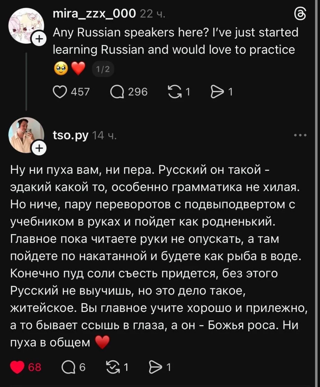 Пользователь tso.py отвечает на вопрос "Any Russian speakers here?" с большим и ободряющим комментарием об изучении русского языка.