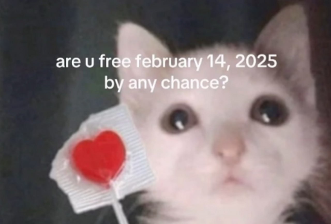 Are u free February 14, 2025 by any chance Белый кот держит леденец в виде сердца и спрашивает про 14 февраля 2025