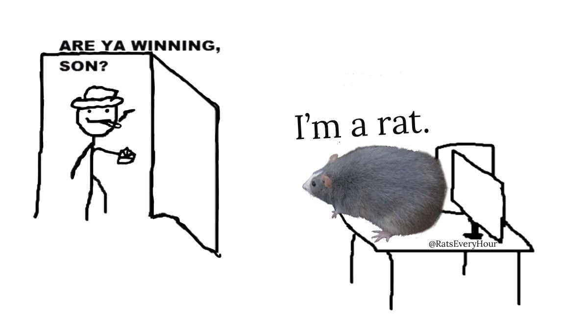 Are ya winning, son? I’m a rat Отец спрашивает сына-крысу «Ты выигрываешь, сынок?», а крыса отвечает «Я крыса»