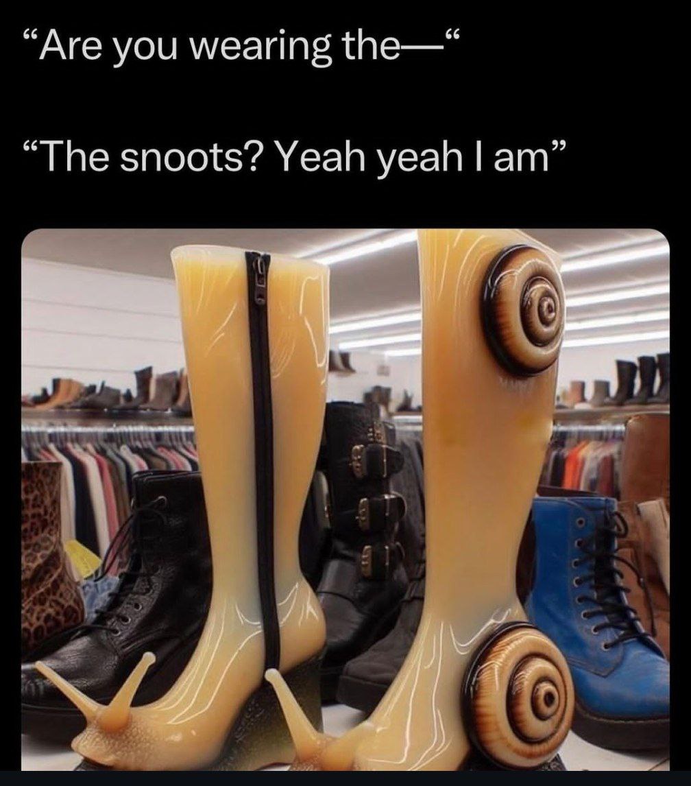 Are you wearing the snoots Мем, где человек спрашивает другого, носит ли он слизняков-улиток (шноты), на что второй отвечает утвердительно, демонстрируя странные ботинки в виде улиток с панцирем и «рожками».
