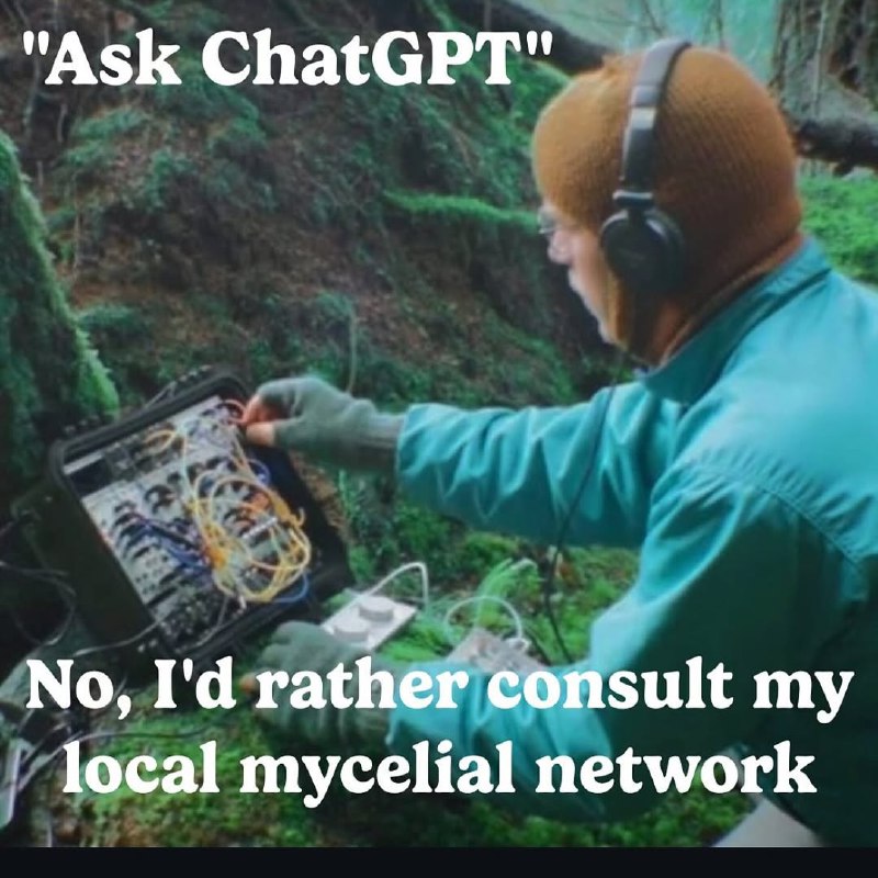 Ask ChatGPT, No, I'd rather consult my local mycelial network Человек с электронным устройством в лесу отвечает "Нет, я лучше проконсультируюсь со своей локальной мицелиальной сетью" на вопрос "Спроси ChatGPT".