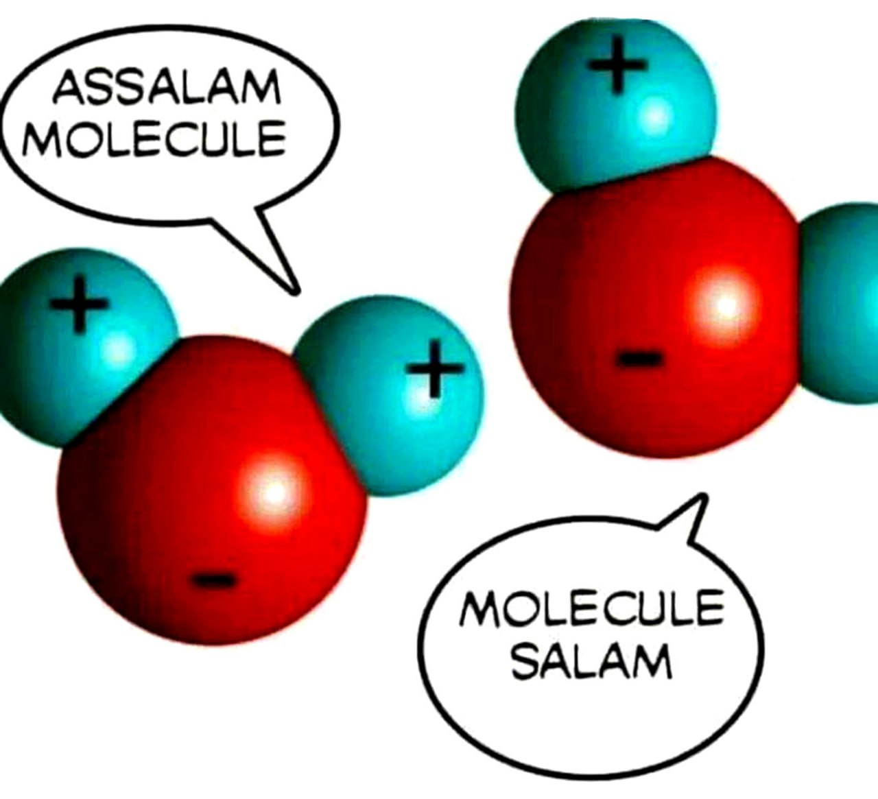 Assalam Molecule Две молекулы воды, одна из которых говорит «Assalam Molecule», а другая «Molecule Salam», как приветствие и ответ на него