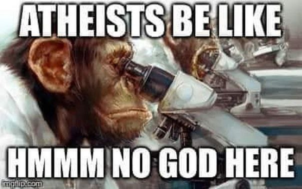 Atheists be like Hmmm no god here Обезьяна в белом халате смотрит в микроскоп и говорит «Хммм, бога нет»