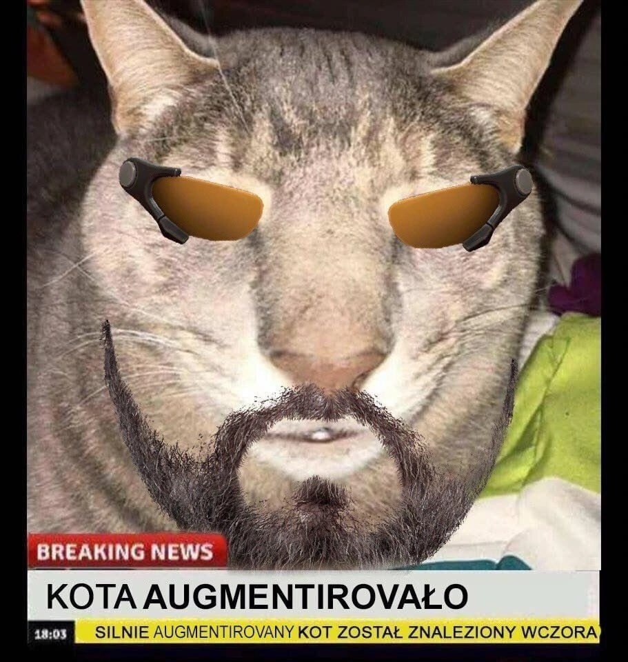 Аугментированный кот, похожий на Тони Старка, обнаружен вчера