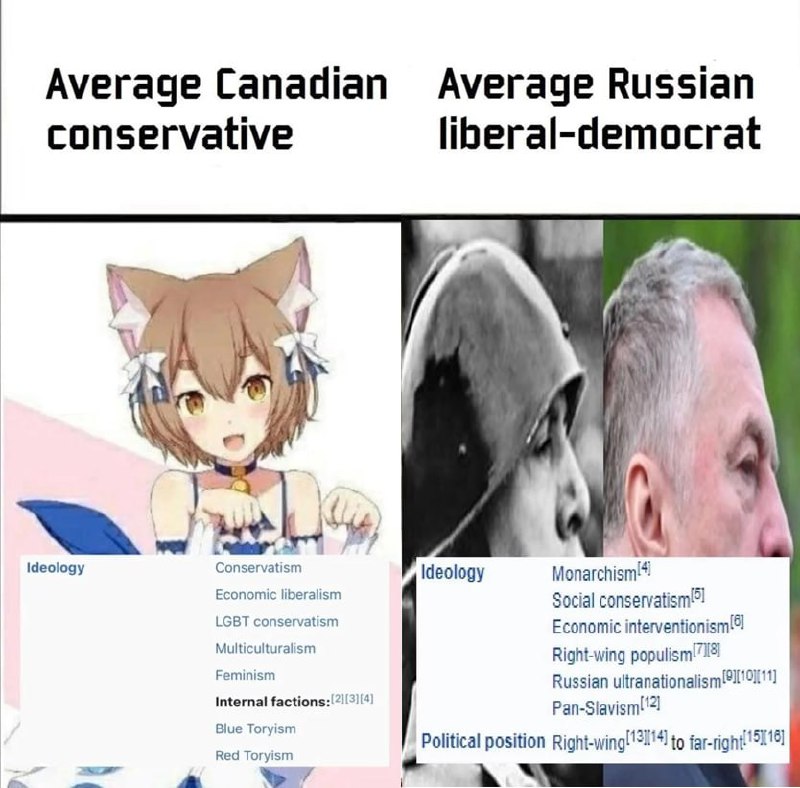 Average Canadian conservative vs Average Russian liberal-democrat Сравнение среднего канадского консерватора и среднего русского либерал-демократа